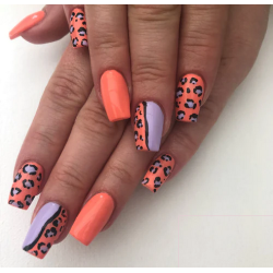 HALO VSP 8ml JELLIES sans Hema sans TPO