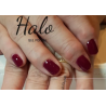 HALO VSP 8ml BURGUNDY sans Hema sans TPO