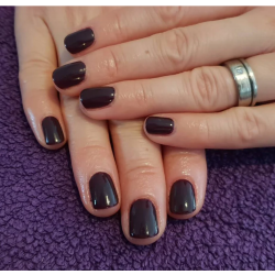 HALO VSP 8ml CONKER sans Hema sans TPO