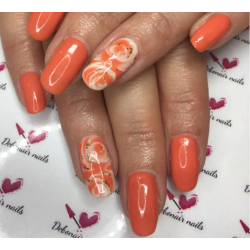 HALO VSP 8ml APRICOT sans Hema sans TPO