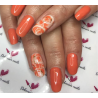 HALO VSP 8ml APRICOT sans Hema sans TPO