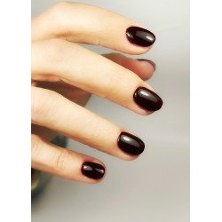 HALO VSP 8ml TOASTY sans Hema sans TPO