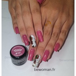 Gel 617 Astro Dust 5g Akyado (sans résidu)