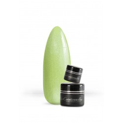 Gel 429 Santa Barbara 5g...