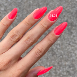 VSP 24.21 - 7g - Akyado