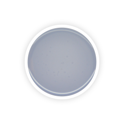 Revelation Clear 150g 3en1 Akyado