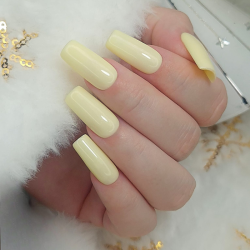 HALO VSP 8ml Angel sans Hema sans TPO