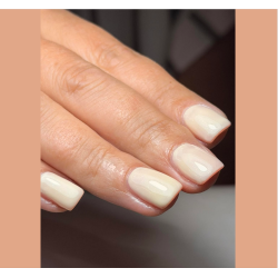 HALO VSP 8ml Angel sans Hema sans TPO