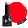 Halo Collection Summer Nights