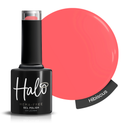 Halo Collection Summer Nights