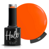 Halo Collection Summer Nights