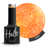 Halo Collection Summer Nights