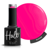Halo Collection Summer Nights