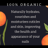 par 6+1 Halo Huile cuticule Citrus 15ml 100% naturel
