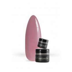 Gel 469 Blossom Pink 5g...