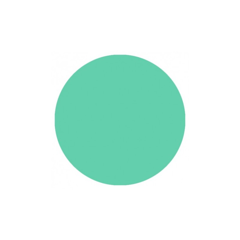 09.851 LizyLaq Color 14ml