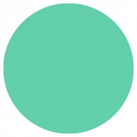 09.851 LizyLaq Color 14ml