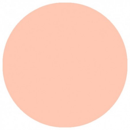 09.856 LizyLaq Color 14ml