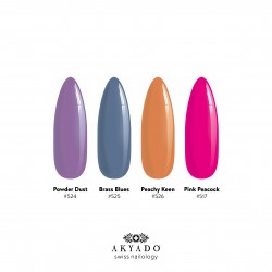 Gel 524  Powder Dust 5g Akyado (sans résidu)