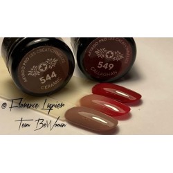 Gel 549 Callagan 5g Akyado (sans résidu)