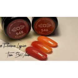 Gel 548 Balmoral 5g Akyado (sans résidu)