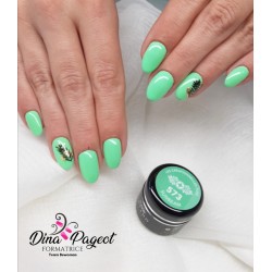 Gel 573 Sunshine-Sunbeam 5g Akyado (sans résidu)