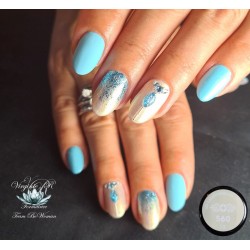 Gel 560 Liz 5g Akyado (sans résidu)