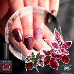 VSP 21.11 - 7g - Akyado