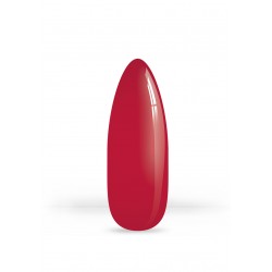 VSP 21.30 - 7g - Akyado