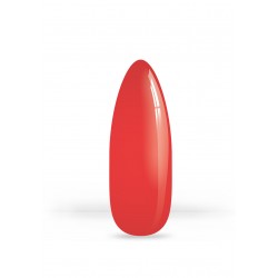 VSP 21.44  7g - Akyado