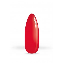 VSP 21.45 - 7g - Akyado