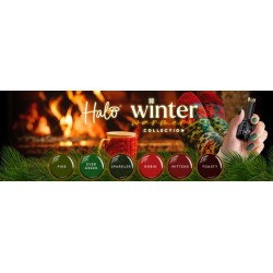 Collection Winter Warmer 6VSP Evergreen-Mittens-Pine-Robin-sparkler-Toasty